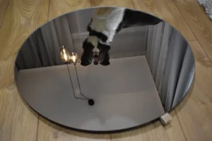 Realizacje - Add Home